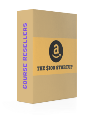 The $100 Startup by Seth Anderson
