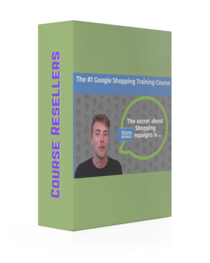 Dennis Moons – Google Shopping Success Course On The Market
