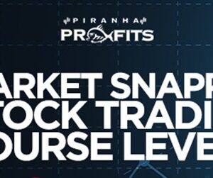 Piranha Profits - Stock Trading Course Level 2 Market Snapper