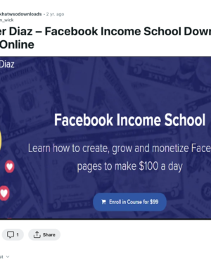 Lester Diaz - Facebook Income School