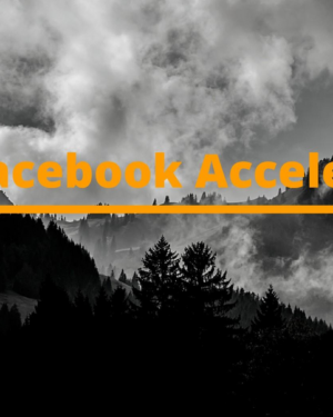 Niki & Josh - The Facebook Accelerator