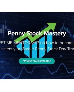 Penny Stock Mastery - TradeBuddy Teachable