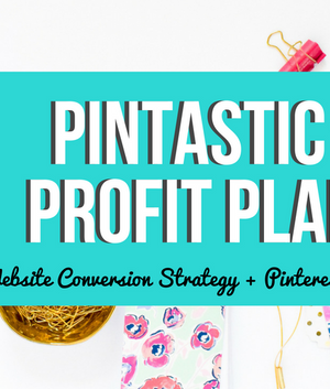 Pintastic Profit Plan 2.0 - Summer Tannhauser