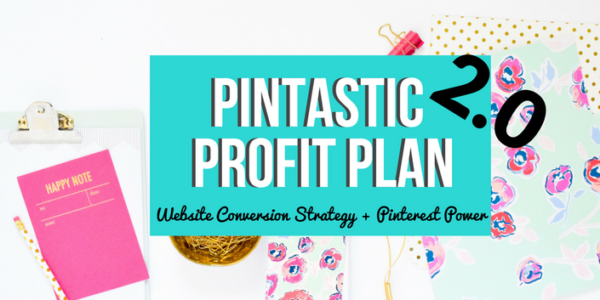 Pintastic Profit Plan 2.0 - Summer Tannhauser