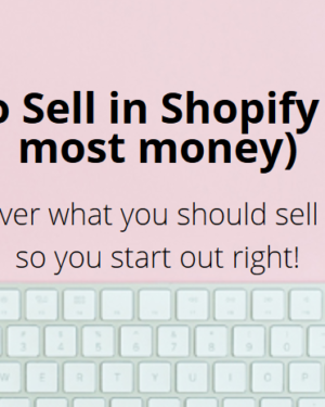 Sara Titus - Top 13 Things to Sell In Shopify