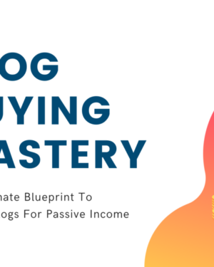 Grant Bartel - How To Buy Blogs That Generate Income