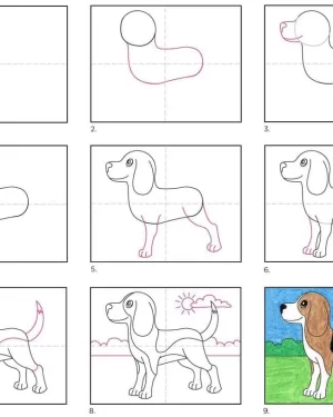 How to Draw a Beagle | Step by Step