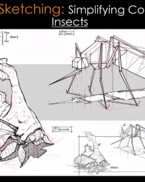 Foundation Patreon Sketching Simplifying Complex Forms – Insects