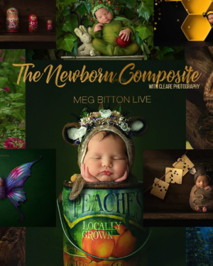 Meg Bitton – Newborn Composite Workshop