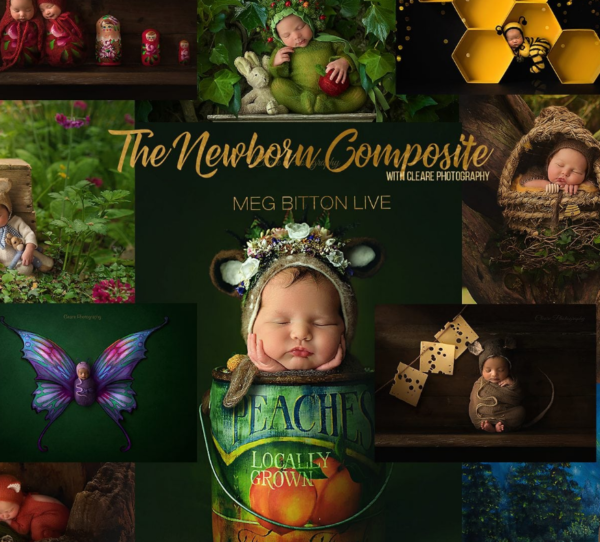 Meg Bitton – Newborn Composite Workshop