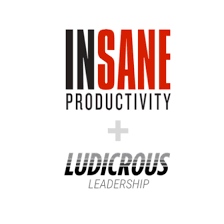 Insane Productivity System by Darren Hardy