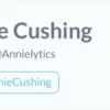 Annielytics Dashboard Course by Annie Cushing