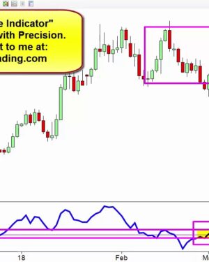 Momentum as a Leading Indicator - Top Dog Trading