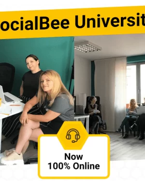 SocialBee - SocialBee University