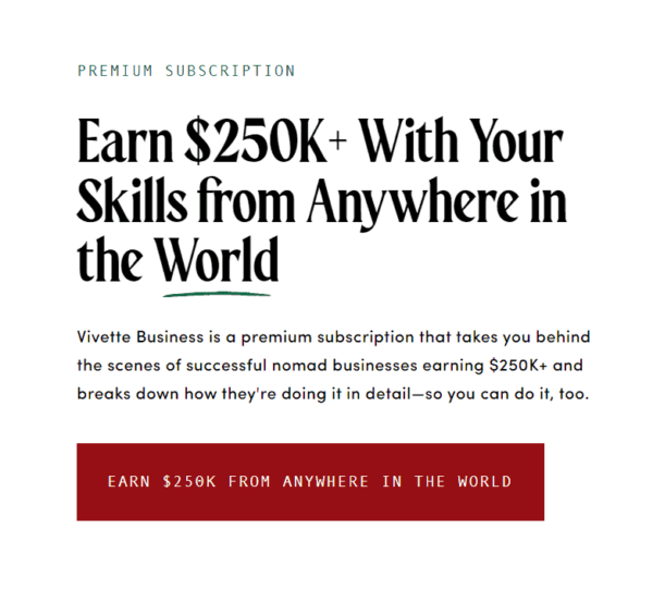 The Vivette – Earn $250K+ With Your Skills from Anywhere in the World