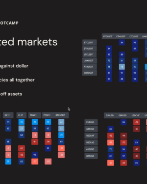 Tradingriot Bootcamp + Blueprint 3.0