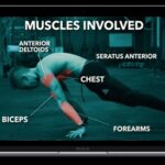 Caliathletics - New Full Body Workouts Program