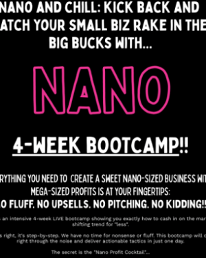 Ryan Lee – Nano Bootcamp