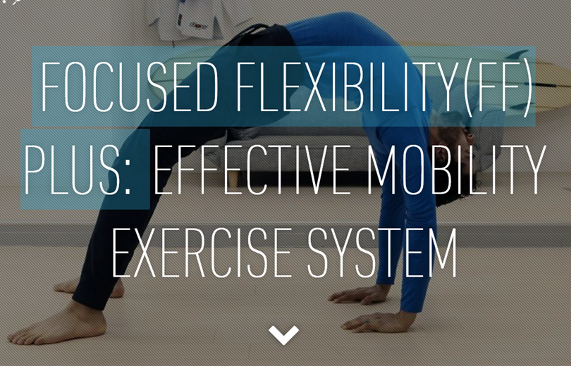 GMB Fitness - Focused Flexibility Plus