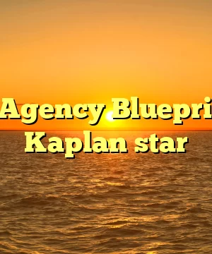 Joel Kaplan – Money Agency Blueprint