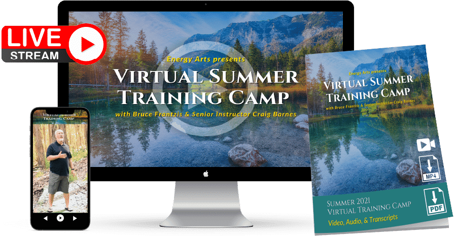 Bruce Frantzis – Virtual Summer Training Camp 2023